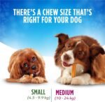 DentaLife Chews Dog Treats for Small Breed Dogs - 595 g Pouch (1 Pack) - Image 7