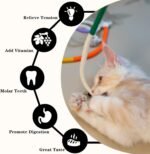 3-Pack Bent Cat Rope Toy, Pet Chew Toys, Interactive Tease Toys for Cats and Kittens, Bite-Proof Playthings, Cotton Rope Kitten Toys for Dental Care and Stress Relief, Pet Supplies - Image 5