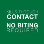 Advantage II Flea Protection for Large Cats weighing over 4 kg (over 9 lbs.) - 6 doses - Image 6