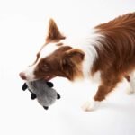 JOYELF Plush Squeaky Dog Toys,No Stuffing Dog Toys for Medium Dogs and Large Dogs, Interactive Dog Toys with Squeaky and Crinkle Paper- Fox and Raccoon - Image 8