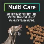 Purina Pro Plan Veterinary Supplements, Mutli Care Dog Chew Probiotic - 300 g (60 Chews) - Image 8