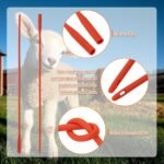 5 Pieces Lamb Feeding Tubes, Red Flexible Rubber Replacement Tubing Supplies for Lamb,Sheep,Piglet,Rabbit,Puppy Feeding (16 Inch x 16FR) (5 Pack, 16 FR) - Image 5