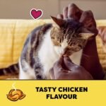 TEMPTATIONS Cat Treats, Tasty Chicken Flavour, 350g - Image 4