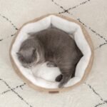 Bedsure Small Dog Bed for Small Dogs Washable - Round Cat Beds for Indoor Cats, Round Pet Bed for Puppy and Kitten with Slip-Resistant Bottom, Camel, 20 Inches - Image 9
