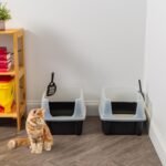 IRIS USA 2 Pack Large Open Top Cat Litter Box with High Sides, Scatter Shield & Scoop, Black, for Indoor Cats, Kittens or Multicat Homes - Image 10