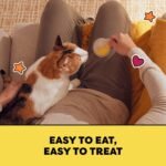 Temptations Lickable Spoons Adult Cat Treats Chicken & Salmon, Salmon & Tuna, Chicken & Cheese Flavours Variety Pack, (24) 10g Spoons - Image 4