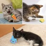 Cat Catnip Toys, 5Pcs Soft Plush Cat Interactive Toys Cat Chewing Pillow Toys Kitten Toys Catnip Teeth Cleaning Toys for Cat Kitten Biting Chewing Kicking and Indoor Interactive - Image 6