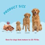 Original Snuggle Puppy Toys - Heartbeat Puppy for Dogs - Dog Plush for Anxiety Relief, Calming Aid, and Comfort Toy for Behavioral Training in Biscuit - Image 10