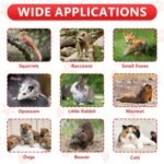 Live Animal Traps - 78 * 32 * 28CM Humane Animal Trap for Stray Cats Raccoons, Squirrel, Skunk, Mole, Groundhog, Armadillo, Rabbit - Humane Rat Trap Indoor Outdoor - Image 6