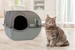 Omega Paw Self Cleaning Cat Litter Box, Roll 'N Clean Litter Box, Large Size for Large Cats and Multiple Cat Households, Brown Color, Model RA20 - Image 3
