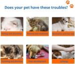 100 Capsules Natural Pet Dewormer for Dogs and Cats, Internal Plant-Based - Image 4