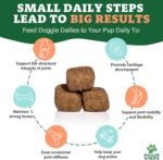 Doggie Dailies Glucosamine for Dogs - 225 Chews - Joint Supplement for Dogs of All Breeds & Sizes - Hip and Joint Supplement for Dogs - Premium Glucosamine and Chondroitin for Dogs - Image 5