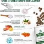 Doggie Dailies Glucosamine for Dogs - 225 Chews - Joint Supplement for Dogs of All Breeds & Sizes - Hip and Joint Supplement for Dogs - Premium Glucosamine and Chondroitin for Dogs - Image 7