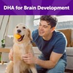 Wellness WellBites Turkey & Duck Recipe Soft & Chewy Dog Treats, 6 Ounce Bag - Image 4