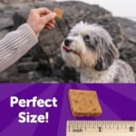 Wellness WellBites Turkey & Duck Recipe Soft & Chewy Dog Treats, 6 Ounce Bag - Image 5