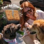 Wellness WellBites Turkey & Duck Recipe Soft & Chewy Dog Treats, 6 Ounce Bag - Image 6