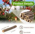 Sukh Natural Organic Apple Sticks - 250g Hamster Chew Toys Hams Rabbit Bunny Gerbil Guinea Pig Squirrel Chinchilla Animal Chew Toys Chew Sticks - Image 3