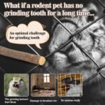 Sukh Natural Organic Apple Sticks - 250g Hamster Chew Toys Hams Rabbit Bunny Gerbil Guinea Pig Squirrel Chinchilla Animal Chew Toys Chew Sticks - Image 5