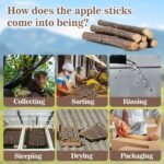 Sukh Natural Organic Apple Sticks - 250g Hamster Chew Toys Hams Rabbit Bunny Gerbil Guinea Pig Squirrel Chinchilla Animal Chew Toys Chew Sticks - Image 6