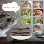 Sukh Natural Organic Apple Sticks - 250g Hamster Chew Toys Hams Rabbit Bunny Gerbil Guinea Pig Squirrel Chinchilla Animal Chew Toys Chew Sticks - Image 7