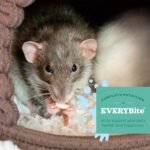 Oxbow Adult Rat - 2.5 lbs - Garden Select - Image 6