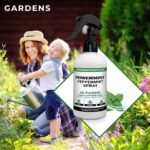 Natural Peppermint 8oz Spray for Home, Garden, Farm and Vehicle 2-PACK - Image 6