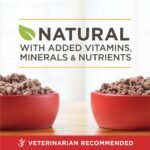 Purina ONE Classic Ground True Instinct Wet Dog Food, Variety Pack 2 Flavours - 368 g Can (6 Pack) - Image 9