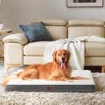 EHEYCIGA Large Dog Bed, Orthopedic Dog Beds for Large Dogs, Washable Big Dog Mattress with Removable Cover and Non-Slip Bottom, Pet Bed with Foam, Beige - Image 9