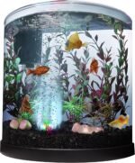 Tetra Bubbling LED Aquarium Kit 3 Gallons, Half-Moon Fish Tank With Color-Changing Light Disc - Image 7