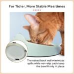 7 Ruby Road Anti Whisker Fatigue Cat Bowl, Set of 2 - Wide Food Bowls, Wet and Dry Shallow Food Dish, Small Cat Dishes for Indoor Cats, Cute Kitten Bowls Whisker Friendly & Relief, Non-Slip Plates - Image 4