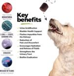 Urinary Tract Infection Treatment for Dogs, Bladder & Kidney Support Soft Chews, All Ages & Breeds, Non GMO, Made in The USA, 90 Count, 1 Pack - Image 4