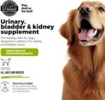 Urinary Tract Infection Treatment for Dogs, Bladder & Kidney Support Soft Chews, All Ages & Breeds, Non GMO, Made in The USA, 90 Count, 1 Pack - Image 6