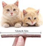 NON-SQUARE 20 Pcs Silvervine Sticks for Cats, Natural Catnip Sticks Matatabi Chew Sticks Cat Chew Toys Kitten Teething Toy for Kitten Teeth - Image 3