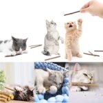 NON-SQUARE 20 Pcs Silvervine Sticks for Cats, Natural Catnip Sticks Matatabi Chew Sticks Cat Chew Toys Kitten Teething Toy for Kitten Teeth - Image 5