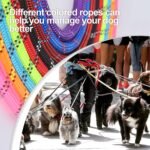 SK Depot® 5ft Extra Strong Heavy Duty Dog Leash Reflective Rope, Durable Metal Clasp Paracord for Large Dogs (Blue, 1 Dog Leash) - Image 6