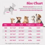 rabbitgoo Dog Harness Small Breed and Leash, Step in Soft Light Puppy Vest, Breathable Mesh No Pull Pet Harness, Reflective for Safe Easy Walking, Rose Red S - Image 3