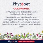 Phytopet Wormwood Complex | 100ml | 100% Natural Herbal Remedy | Supports Intestinal Hygiene, Worms and Parasites | for Dogs, Cats, Birds, Horses, Pets - Image 8