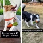 MewaJump Dog Squeaky Chew Toys for Aggressive Chewers, Rubber Carrot Dog Toys for Training and Cleaning, Durable Interactive Tough Dog Toy for Puppy Medium Dogs - Image 4