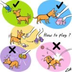 Chiwava 4PCS 2.4'' Squeak Latex Puppy Toy Funny Animal Sets Pet Interactive Play for Small Dog Assorted Color - Image 6
