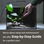 NICREW Nano Nature Aquarium Kit, 2.5 Gallon, Basic Version, Ultra-Clear Rimless Desktop Fish Tank with Filter, Light and Starter Guide - Image 8