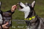 Bully Sticks for Dogs 6 Inch Standard - Premium Pack of 7 - Long-Lasting Chews for Small to Medium Dogs and Puppies - 100% Natural, Single Ingredient Dog Treat Supports Dental Health - Image 3