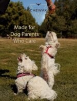 Bully Sticks for Dogs 6 Inch Standard - Premium Pack of 7 - Long-Lasting Chews for Small to Medium Dogs and Puppies - 100% Natural, Single Ingredient Dog Treat Supports Dental Health - Image 7