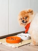 LE TAUCI Ceramic Slow Feeder Dog Bowls Small Breed, 0.6 Cups Dog Food Dish for Fast Eaters, Puzzle Bowl for Small Dogs and Cats,Sun Orange - Image 3