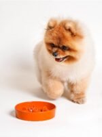 LE TAUCI Ceramic Slow Feeder Dog Bowls Small Breed, 0.6 Cups Dog Food Dish for Fast Eaters, Puzzle Bowl for Small Dogs and Cats,Sun Orange - Image 9