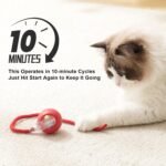 2025 New 3Pack Cat Ball Cat Toys for Indoor Cats Interactive Cat Ball Toy Speedy Tail Cat Toy Ball(Red Grey Green) - Image 5