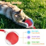 2025 New 3Pack Cat Ball Cat Toys for Indoor Cats Interactive Cat Ball Toy Speedy Tail Cat Toy Ball(Red Grey Green) - Image 6