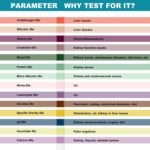 125 Strips - Urine Test Strips for Urinalysis 14 Parameters - Testing Kit for Kidney, Liver, UTI, Ketone, Protein and 9 More - Image 4