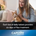 Capstar Oral Flea Treatment for Small Dogs and Cats weighing 1 to 11 kg - 6 pack - Image 4