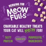 Stella & Chewy's Meowfulls Freeze Dried Cat Treats Turkey & Duck Recipe, 42.5g Bag - Image 3