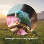 Hari Spray Millet - 500 g (17.6 oz) - Image 4